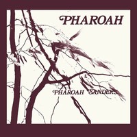 Pharoah (Limited Deluxe Edition Box) | Pharoah Sanders | Vinyl / Schallplatte