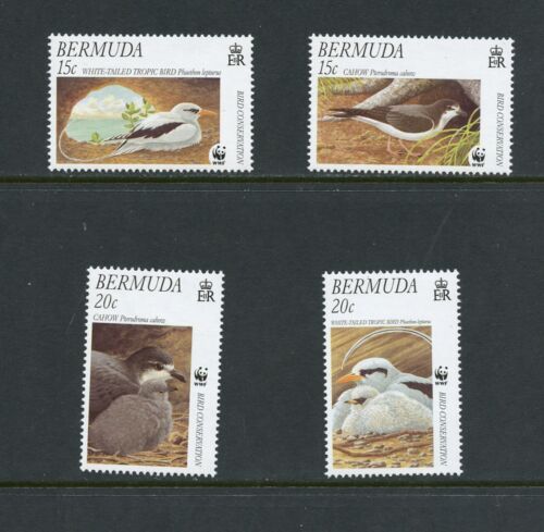 B339  Bermuda  2001   birds  WWF   4v.       MNH - 第 1/1 張圖片