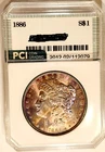 1886 Gem BU ++ Pristine Lavender Rainbow Color Toned Morgan Dollar
