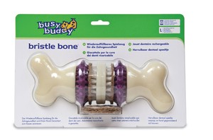 bristle bone