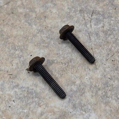 Briggs & Stratton Ignition Coil Screws 650 Series 190cc Mower Engine Lot of 2