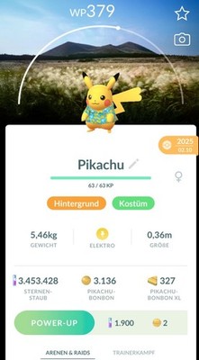 Pokémon GO Pikachu Kostüm Background 