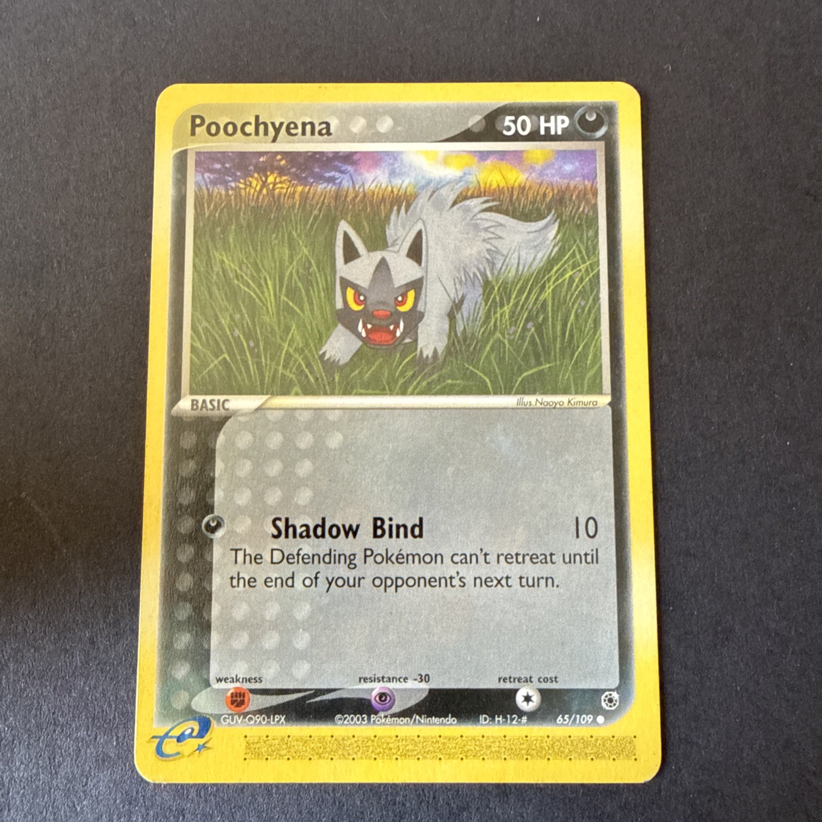 Poochyena 65/109 EX Ruby & Sapphire Common 2003 English Pokemon Nintendo