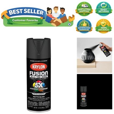 Fusion All-In-One Adhesive Spray Paint for Indoor/Outdoor Use, 12 oz, Black