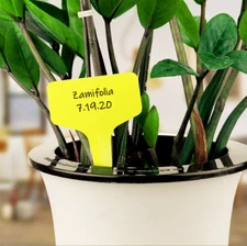 Yellow T-Shaped Plant Labels | Garden Row Marker Seed Stake Food Tag Reusable