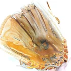 Spalding 42 369 Baseball Glove Right Hand Thrower Air Pump Technology As Is