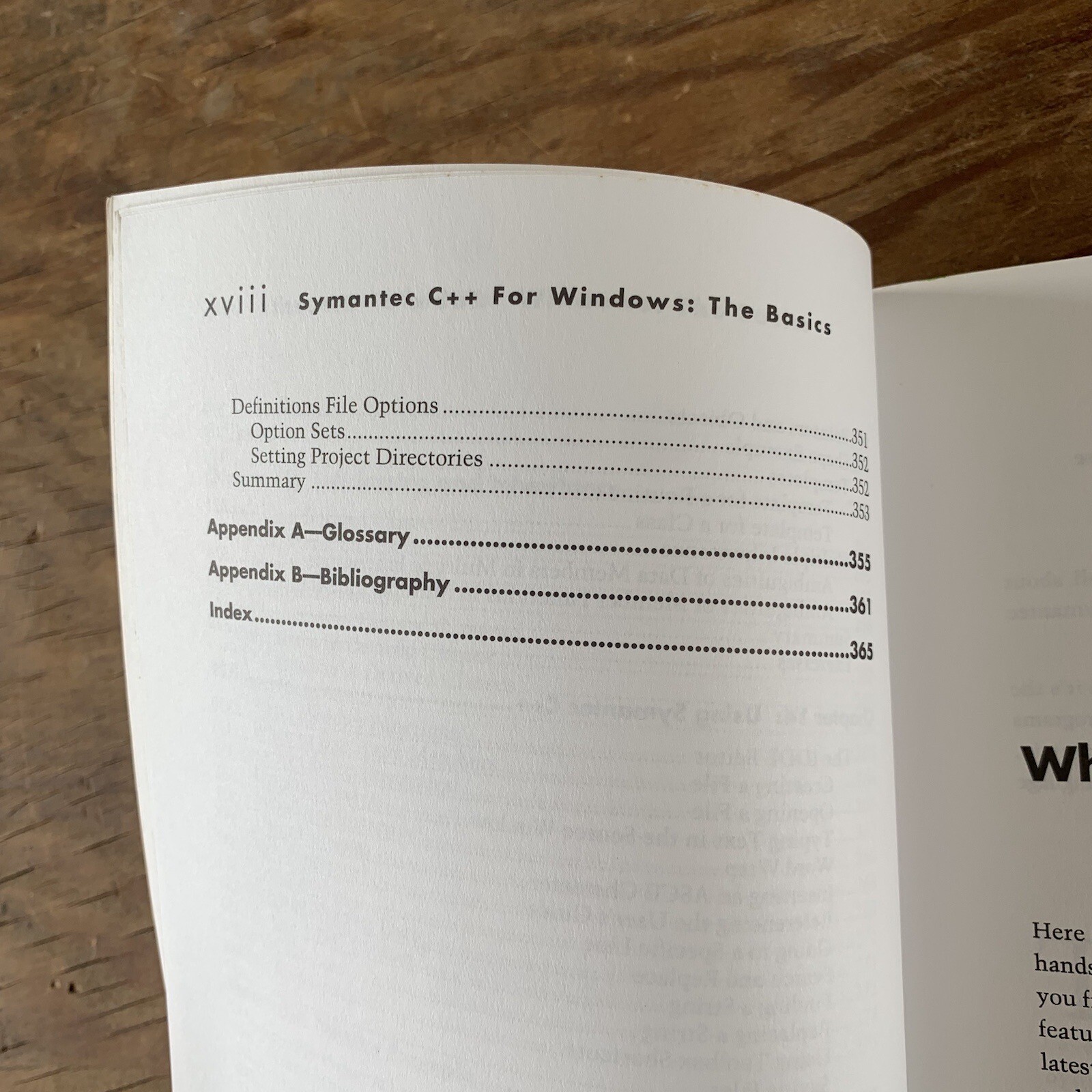 Symantec C++ For Windows: The Basics By John May Judy Whittle Book Textbook