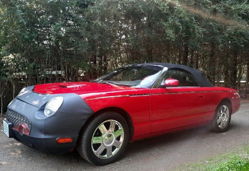 Lebra 前端面具文胸 适合 FORD THUNDERBIRD 2002 2003 2004 2005 — 第 4/4 张图片