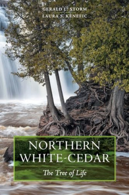 Northern White-Cedar: The Tree of Life - Paperback / softback NEW Storm, Gerald