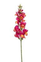 artplants Deko Blume LöWenmäUlchen Daenerys, Pink-Orange, 80Cm