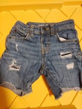 Cat And Jack Shorts