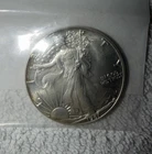 1987 Walking Liberty American Eagle One Dollar 1 Oz. Fine Silver Coin