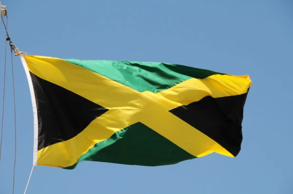 🇯🇲 GIANT 5 FT × 3 FT JAMAICA FLAG BANNER – TEAM JAMAICA INDEPENDENCE DAY 🇯🇲 - Изображение 2 из 4