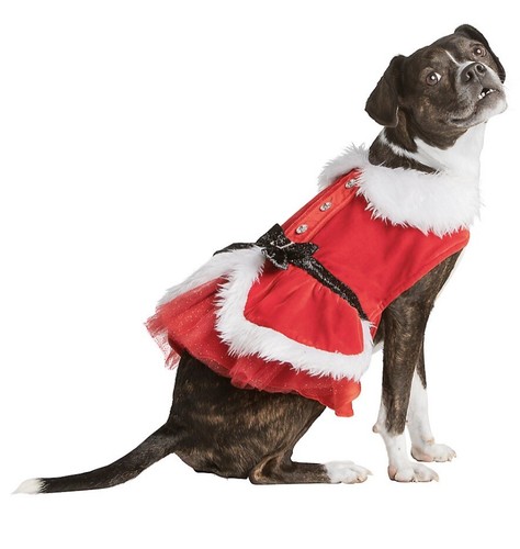 mrs santa claus dog costume