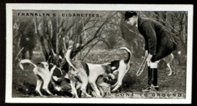 Tabakkarte, Franklyn Davey, Jagd, 1925, Gone to Ground, #16