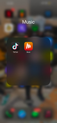 iPhone 13 Pro Max With Tiktok and Musi