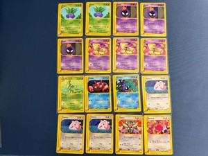Expedition Pokemon Set