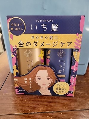 Sulfate Free Ichikami Damage Repair Color Care Shampoo Treatment Set Japan