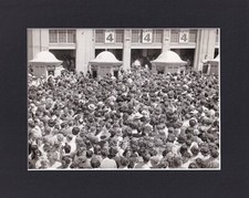 8X10 Matted Print VTG Baseball Picture: 1949, Yankee Stadium Ladies Day