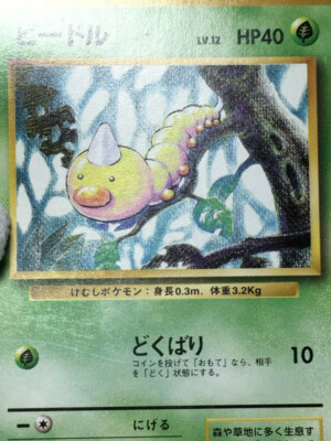 PSA8 ビードル 旧裏　初版 マークなし 1996 Weedle 第1弾 PSA8 ビードル 旧裏 初版 マークなし 1996 Weedle 第1弾 PSA鑑定