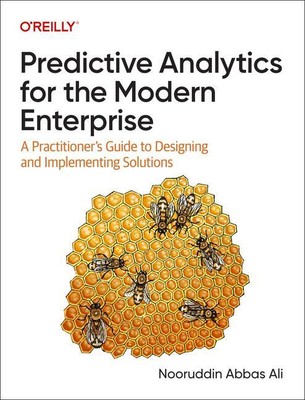 Predictive Analytics for the Modern Enterprise | Nooruddin Ali | englisch
