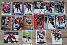 Jakob Chychrun 16 Different Hockey card lot-3 Rookie Cards, Inserts, Parallels