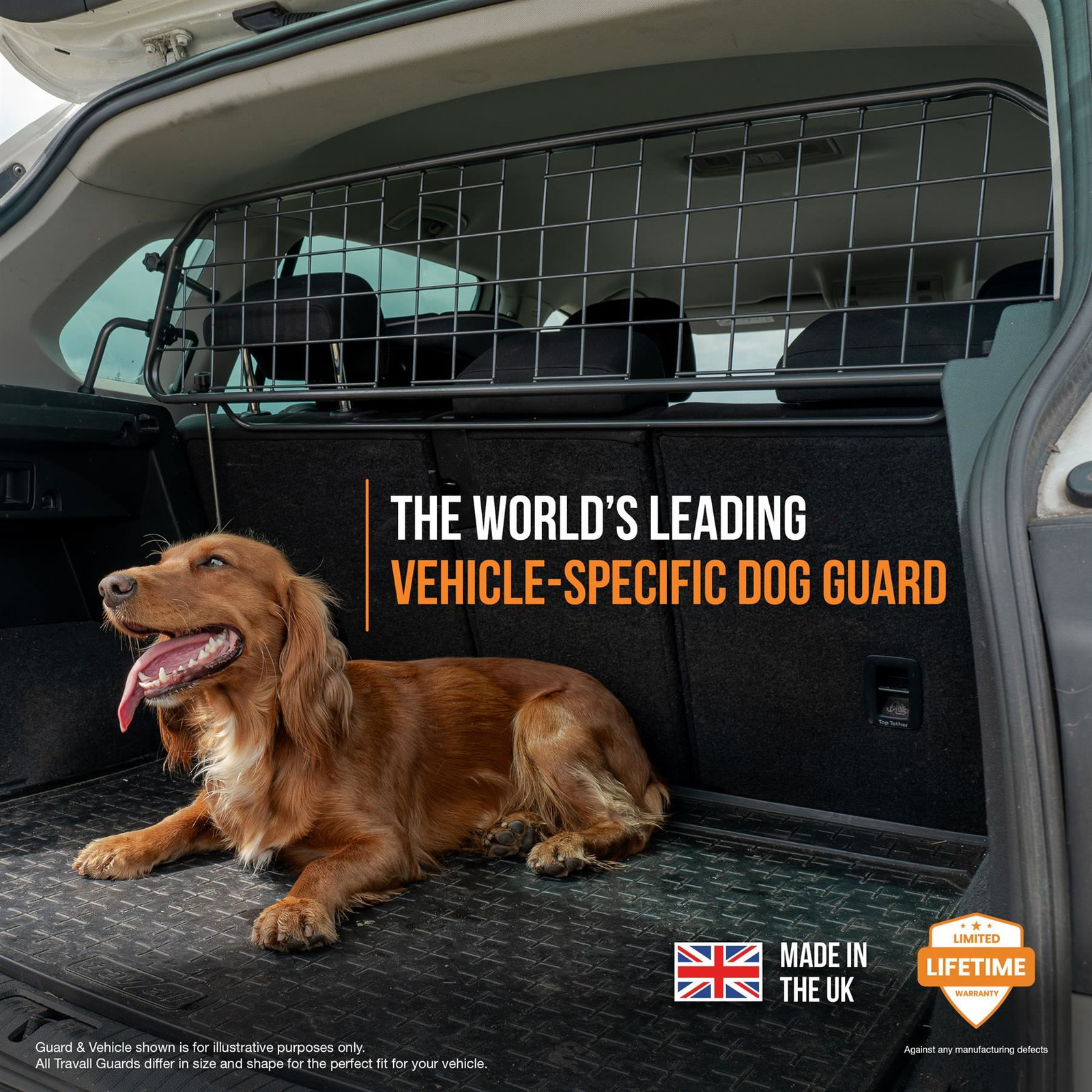 Travall Dog Guard & Divider Bundle Audi A6 Avant Estate (2015-2018)