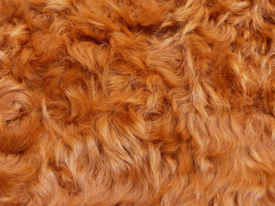 овчина кожа Тоскана шкуры яркий ржавчины оранжевый вьющиеся шелковистые волосы с замшевой спиной - Изображение 3 из 4
