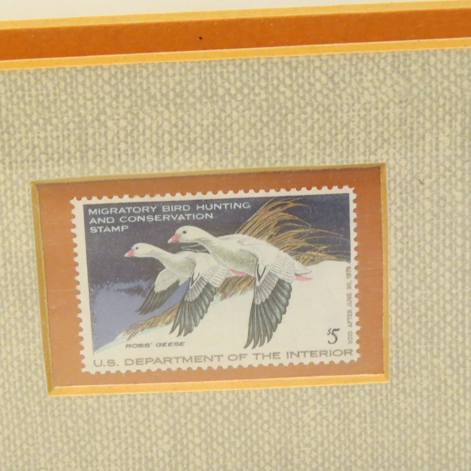 HTF! Martin Murk Federal Duck Stamp Art Print - Ross' Geese Framed 1977 RW44 WOW - Image 3 of 4