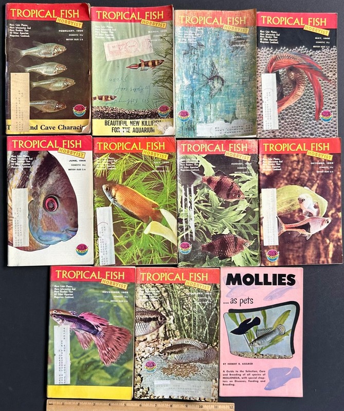 Lot Vintage 1966 Tropical Fish Hobbyist magazines 10 Issues! PLUS Mollies Pamph.