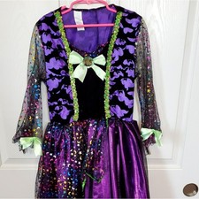 Long Premium Witch Costume