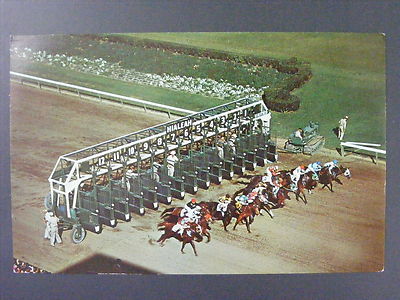 Hialeah Florida Fl Race Track Starting Gate Horse Racing Vintage Postcard 1960s Ebay