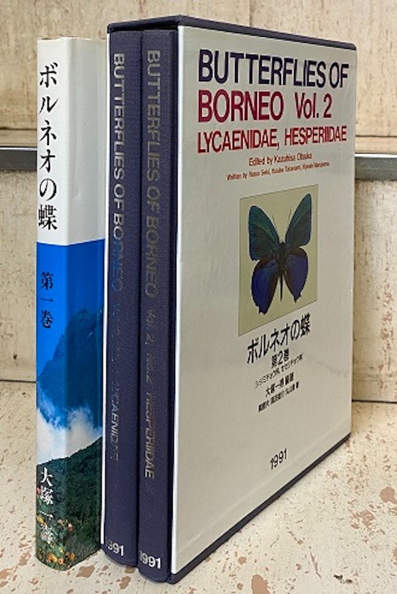 ボルネオの蝶 第2巻　Butterflies of Borneo, vol.2 Amazon.co.jp: ボルネオの蝶 第2巻/シジミチョウ科