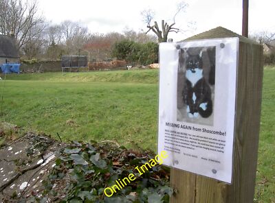 Photo 12x8 Have you seen this cat? Twinhoe He's gone off again. It  c2014
