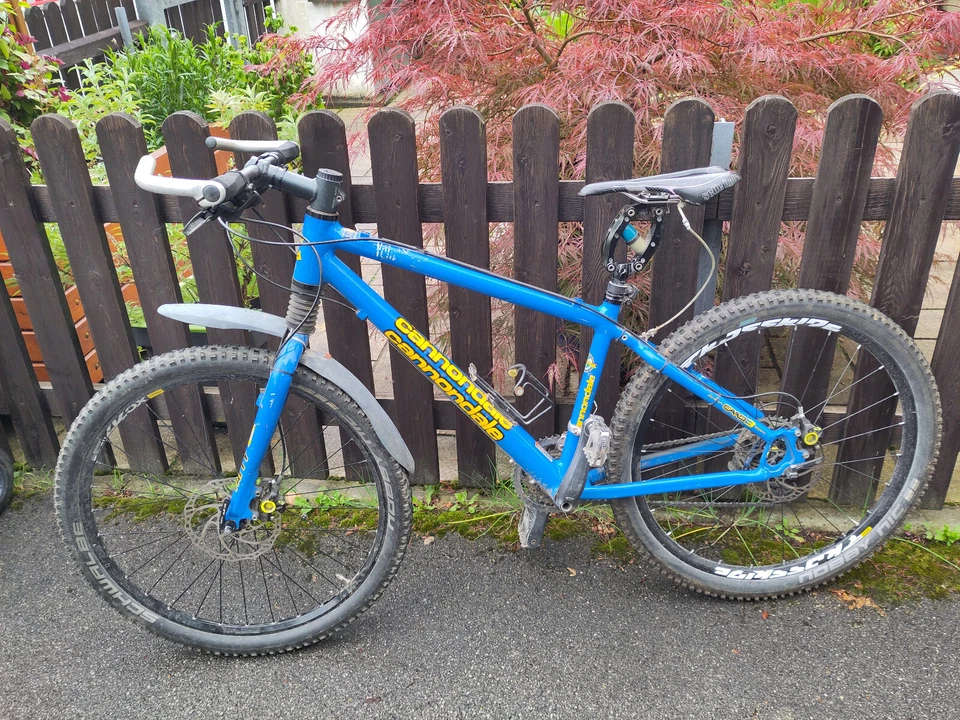 Mountainbike Cannondale CAAD 3D