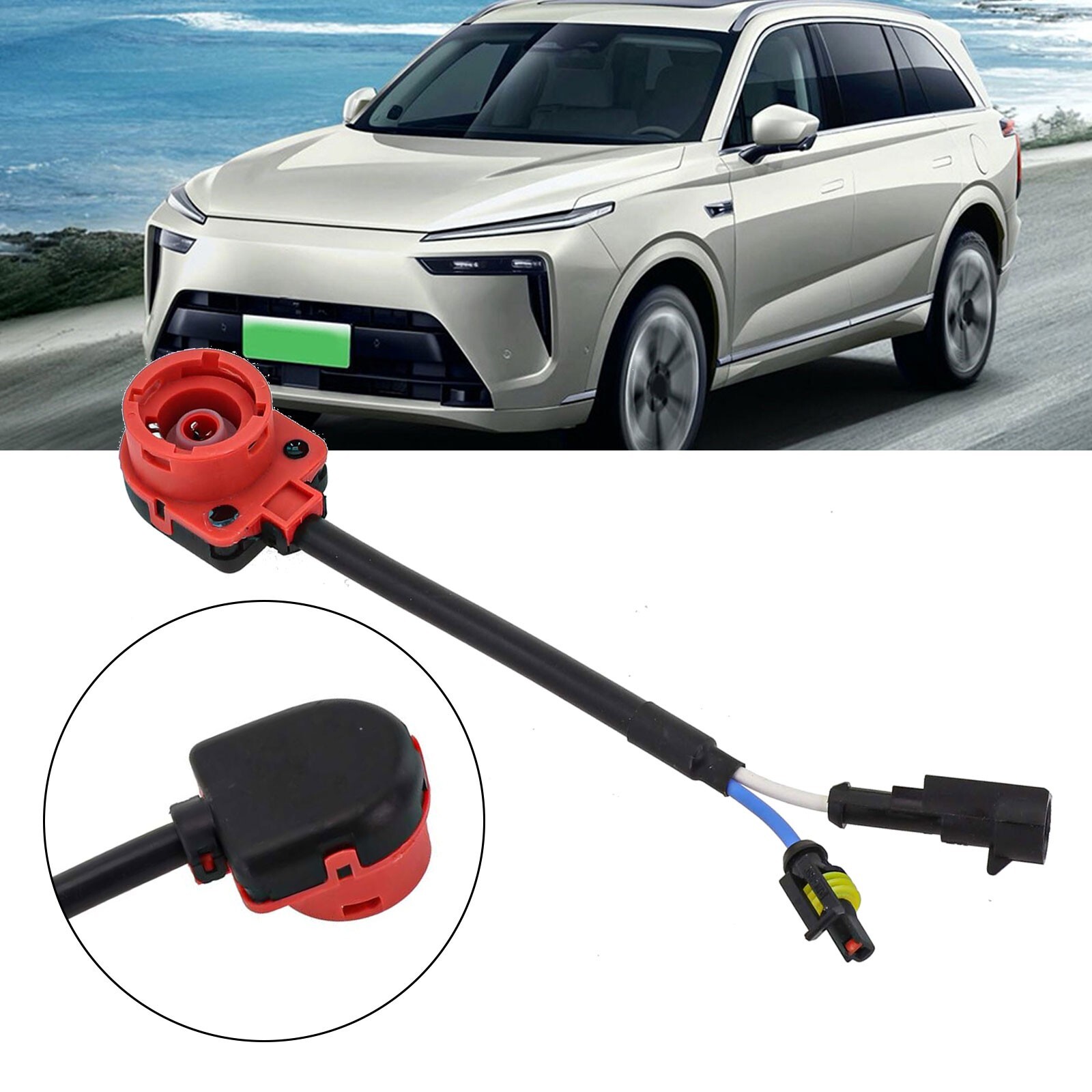 Adaptable Wiring Socket for Various Ballast Configurations in Vehicles