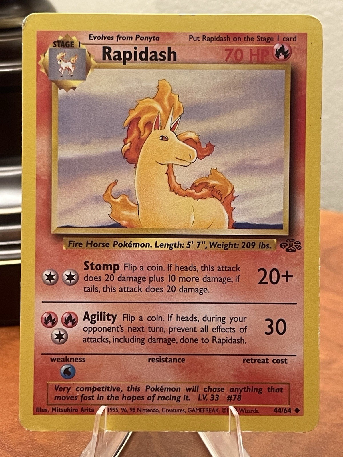 Rapidash 44/64 Jungle Regular-LP