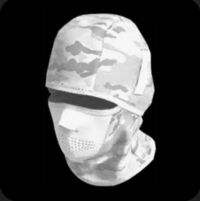 Mw2 DMZ Disguises