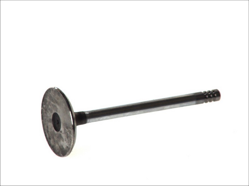Fits FRECCIA 3635/SCR Intake Valve 3635/SCR Intake valve (40x7x102,5) fits: BMW