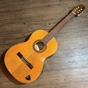 Zen on Guitar | eBay