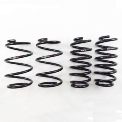 RS-R T100D Down Suspension Coil Springs For 2011-2017 Lexus CT 200h NEW