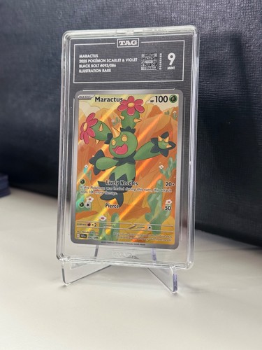Maractus graded TAG 9 for sale on eBay