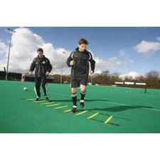 Precision 4 Metre Adustable Speed Ladder TR594