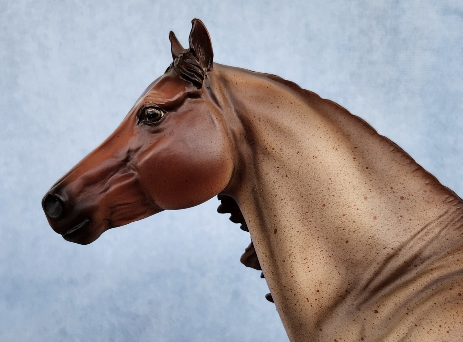 Breyer 2015 Breyerfest Volunteer Model Smart Chic Olena "Parfait". 711435. eBay