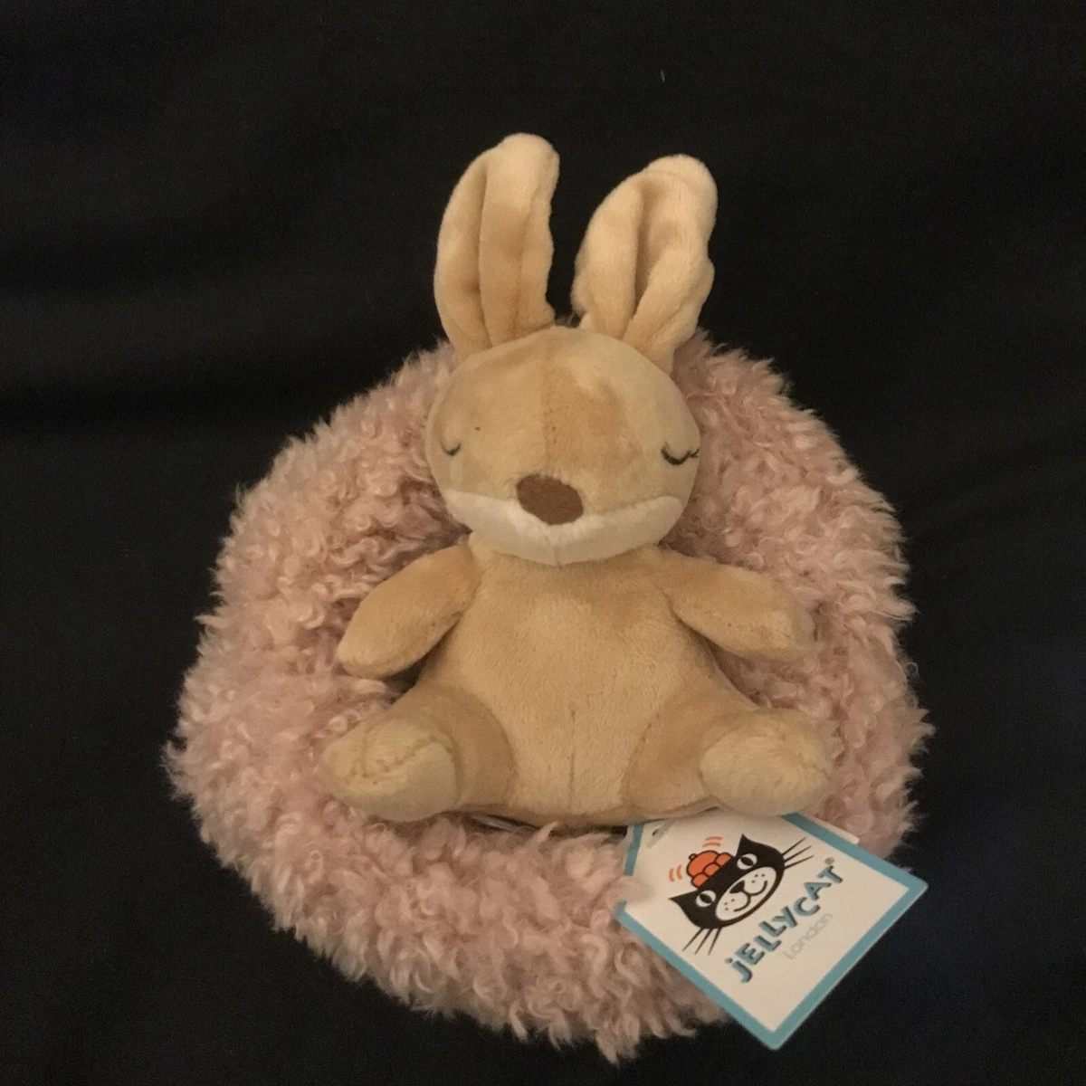 Peluche Jellycat Hibernating Bunny