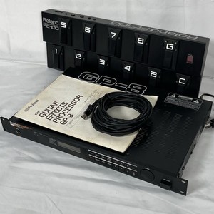Roland GP 100 | eBay