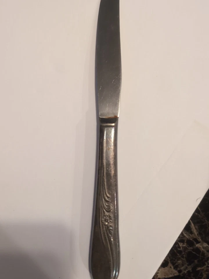 Cuchillos H & T MFG CO c1940 FLOR DE PRADO PLATEADO MODERNO HUECO 2 Cuchillos Foto 3 de 4