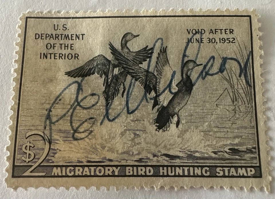 1951 Federal duck stamp two dollar migratory bird hunting stamp signed ￼ - Image 2 of 3