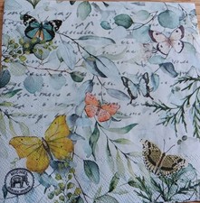 2 Individual Cocktail Napkins 