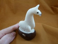 (TNE-LLA-642c) little white baby Llama farm TAGUA NUT nuts palm figurine